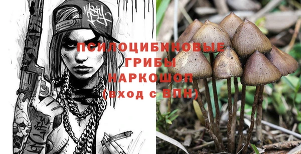 ПСИЛОЦИБИНОВЫЕ ГРИБЫ Армянск