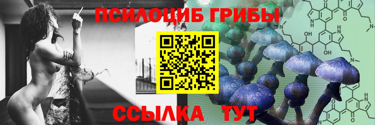 Глазов  Галлюциногенные грибы MAGIC MUSHROOMS  Вход с VPN 