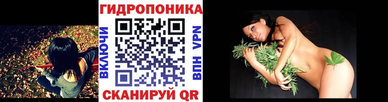 Каннабис сатива  нарко площадка официальный сайт  Глазов 