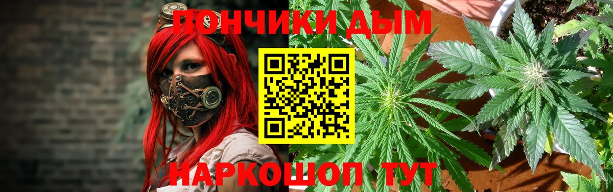 Каннабис гибрид Глазов